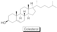 Su composición química contiene la estructura de un lípido.