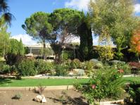 Jardin- Practicas de mantenimiento de jardines y zonas verdes 2